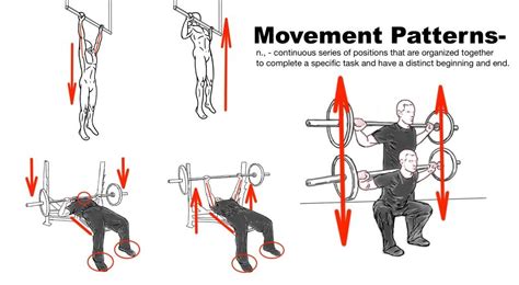 Synergistic Training - Improve Mobility, Stability and Strength Hip ...