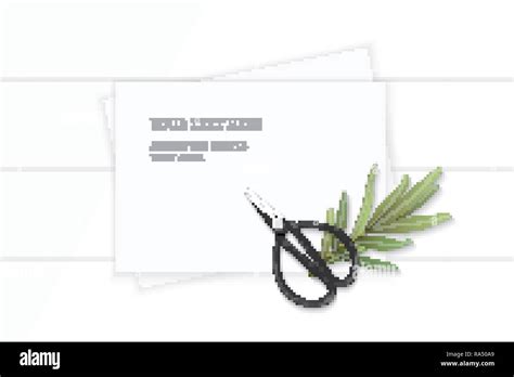 Flat lay top view elegant white composition paper nature tarragon leaf ...