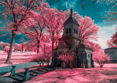 Infrared Photography: Getting More Color From Your 720nm Filter | Infrared photography, Ir ...