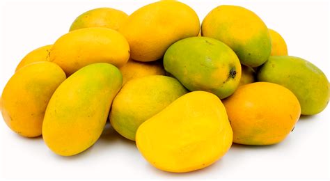 Baby Ataulfo Mangoes Information and Facts