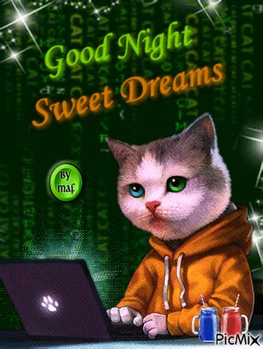 Good Night Cat, Good Night Sweet Dreams, Good Night Quotes, Morning Quotes, Cute Cats, Funny ...