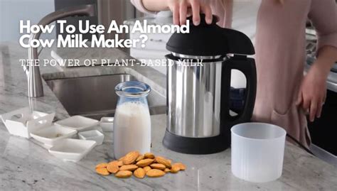 How To Use An Almond Cow: The Power Of Plant-Based Milk