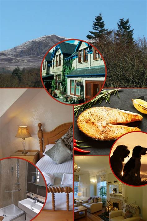 Rosemount Hotel Pitlochry - Accommodation in Pitlochry | 01796 472302 ...