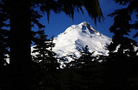 Mount Hood National Forest will close all trails, day-use areas ...