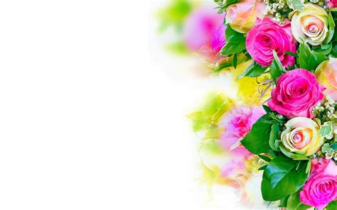 Download Pink Rose White Rose Bouquet Pastel Flower Nature Rose 4k Ultra HD Wallpaper