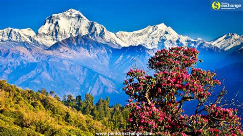 Nepal