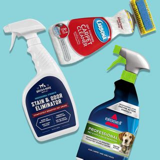 Carpet Stain Removers Tested and Reviewed - Top Stain Removers