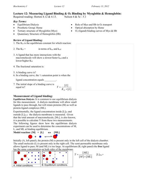 Oxygen binding * Myoglobin and Hemoglobin: