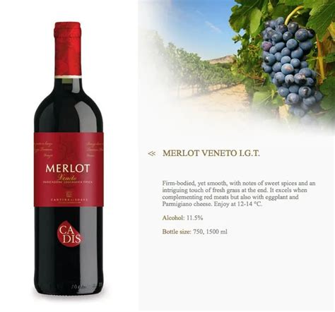 merlot wine brands