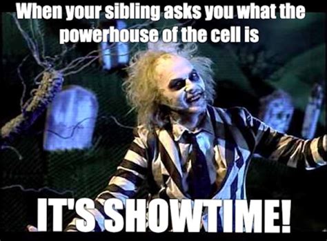 Beetlejuice Memes (20 pics)