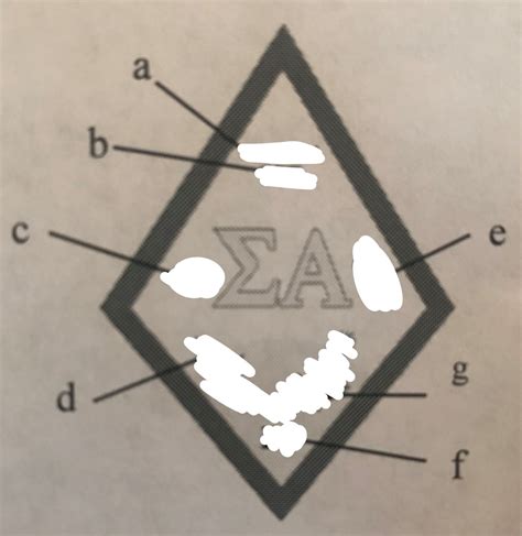 sigma alpha final Diagram | Quizlet