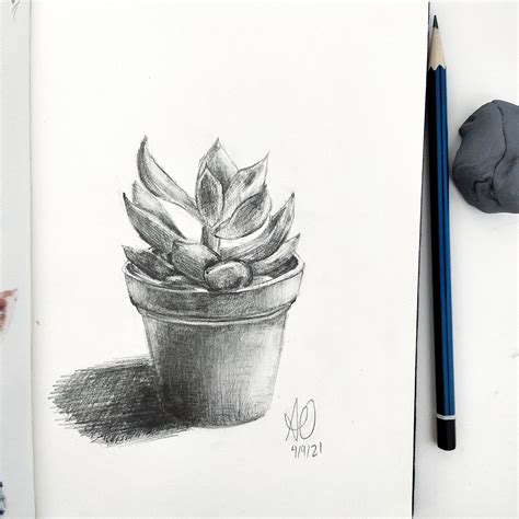 STILL LIFE DRAWING on Behance