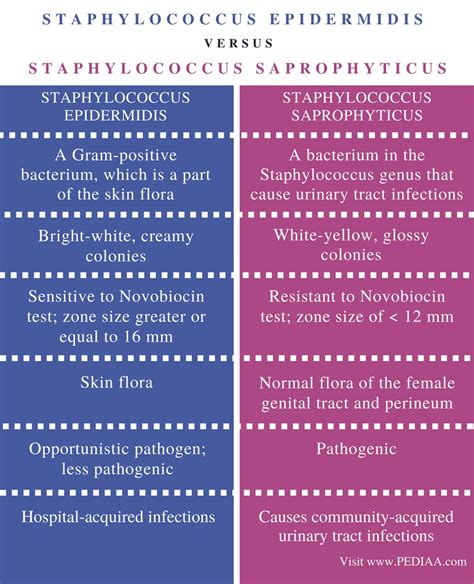 Difference Between Staphylococcus Epidermidis and Staphylococcus ...