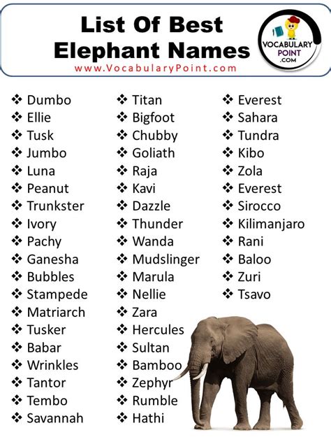 450+ Best Elephant Names ( Cute,Funny,Male & Female) | Elephant, African name, Traditional names