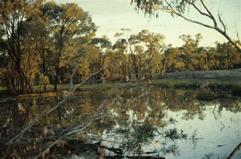 Augathella | Queensland Places