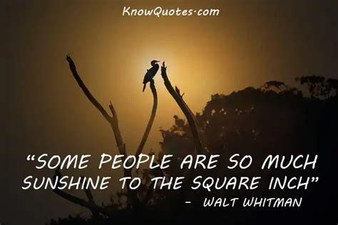 Sunshine Quotes | KnowQuotes.com