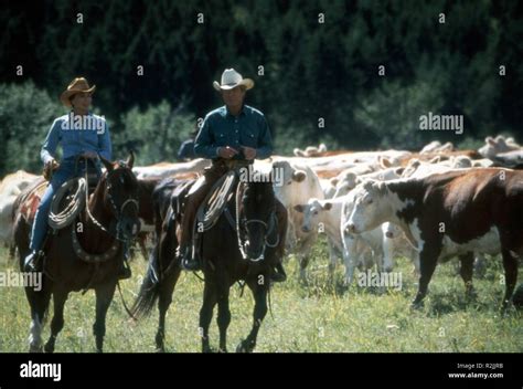 The Horse Whisperer Year : 1998 USA Director : Robert Redford Robert Redford, Kristin Scott ...