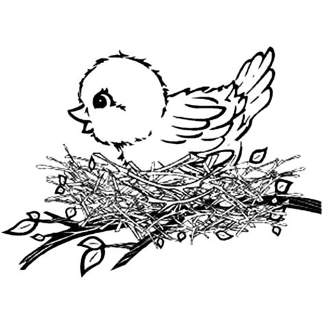 Wild Canary Bird Coloring Pages | Best Place to Color