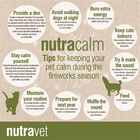 Nutraquin Plus a supplement for joint disease in dogs and cats