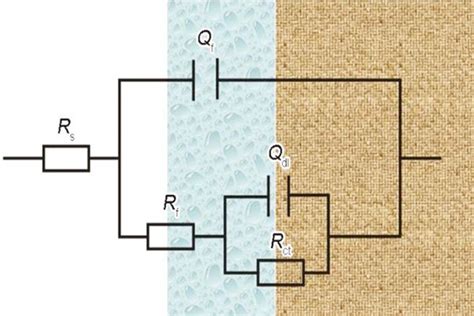 Stress corrosion behavior and mechanism of 316L stainless steel with different organization in ...