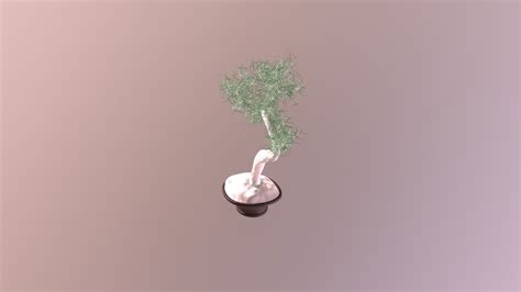 Bonsai 3d model - Download Free 3D model by all3dfree (@Jacoblee84) [60691fa] - Sketchfab