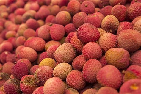 royalty free lychee photos free download | Piqsels