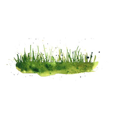 Watercolor green grass 12623435 PNG