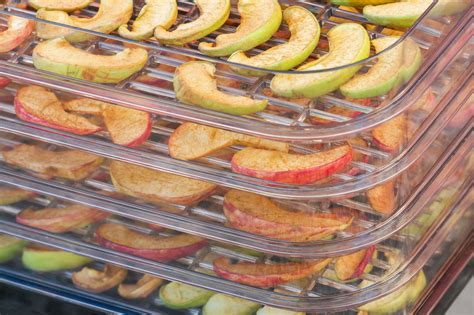 7 Best Food Dehydrators of 2023 {Top Favorite Picks!} -SimpleGreenMoms