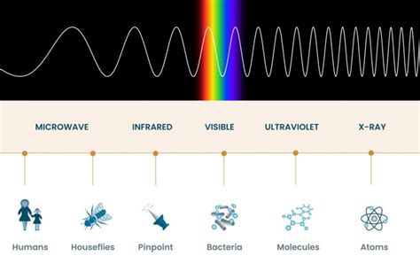 Electromagnetic Spectrum (EF) Definition | Optimus Medica