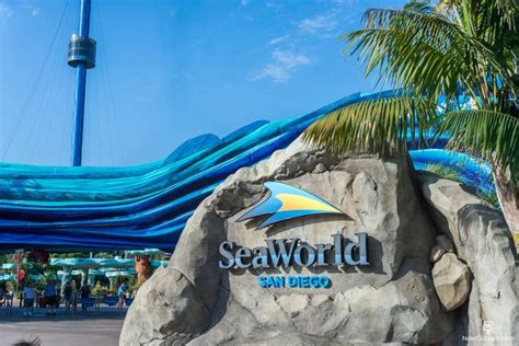 Sea World - San Diego: Theme Park Guide