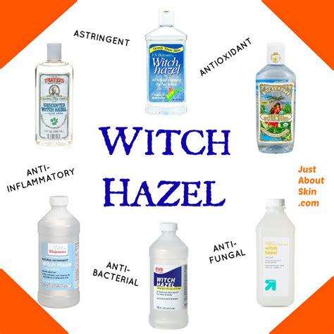 What You Need To Know About WITCH HAZEL TONER - Just About Skin