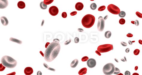 Details 100 blood cells background - Abzlocal.mx