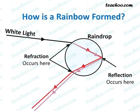 How is Rainbow Formed? - Class 10 Physics - Teachoo - Concepts