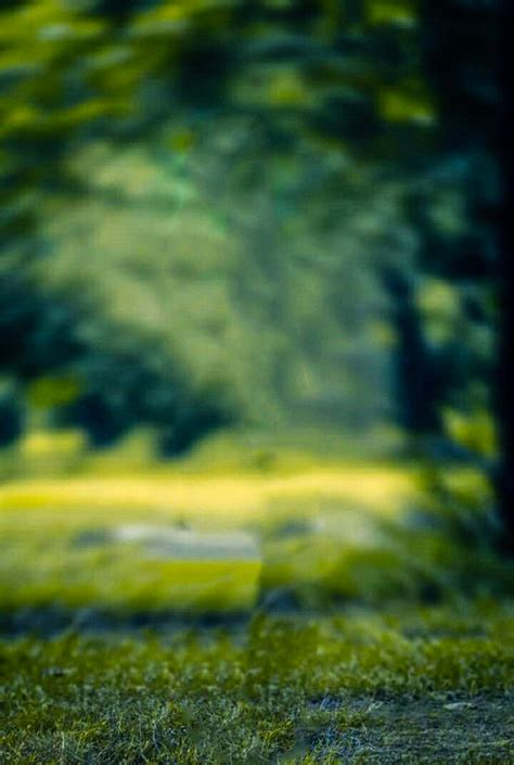 🔥 Blur Nature Tree DSLR Background Full HD Download | CBEditz