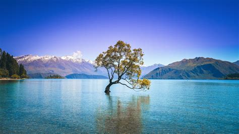 Top 20 Lake Wanaka, NZ condo and apartment rentals from $96/night | Vrbo