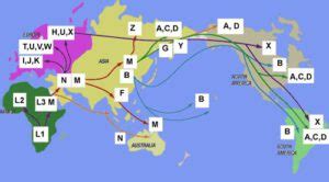 Haplogroups Explained - 23andMe Blog