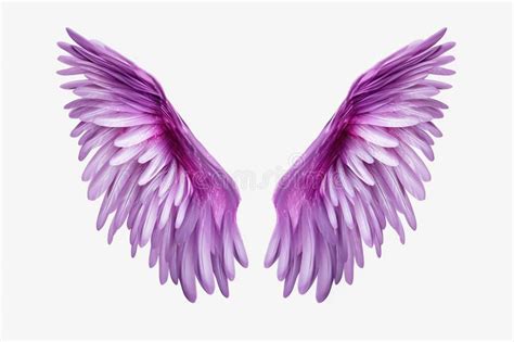 Purple Angel Wings on a White Background Stock Photo - Image of celestial, beautiful: 296525672