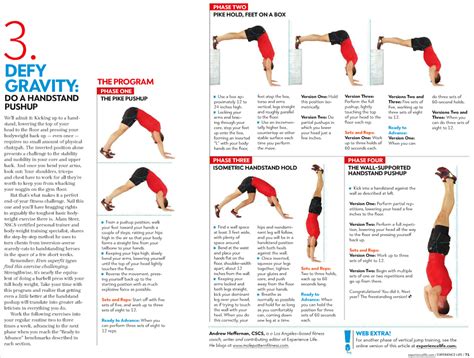 Image result for handstand workout | Handstand push up, Push up muscles ...