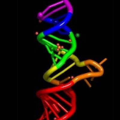 FDA lifts clinical hold on fitusiran trials | MDedge Hematology and Oncology