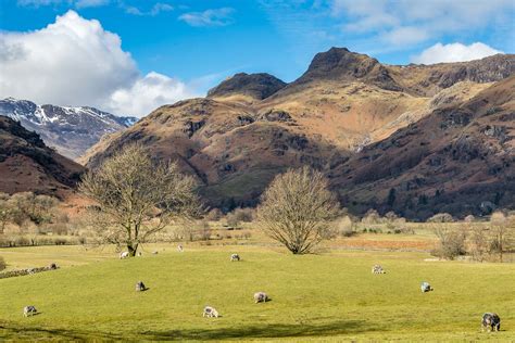 Langdale Pikes - Andrews Walks