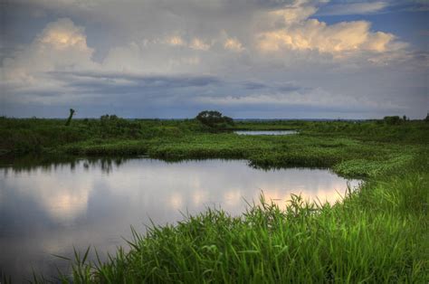 Alachua Sink on Paynes Prairie | Explorer and naturalist Wil… | Flickr