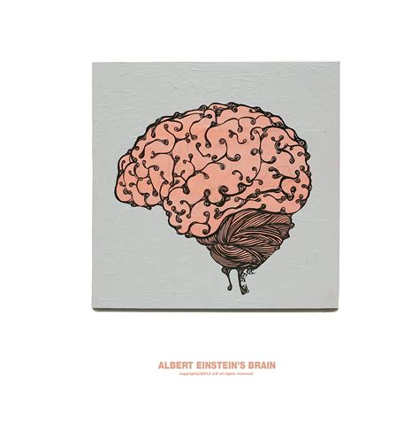 ALBERT EINSTEIN'S BRAIN on Behance