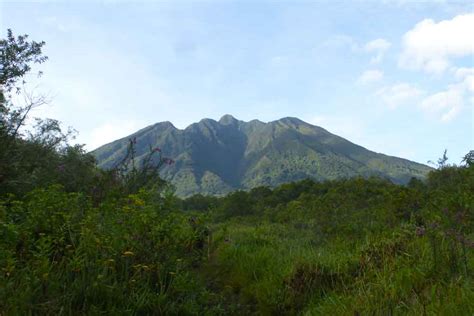 Bwindi Forest Climate - Bwindi Impenetrable National Park