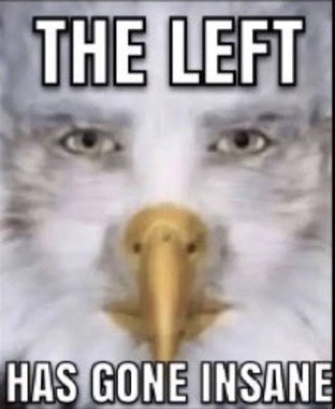 The Left Has Gone Insane | Staring Eagle / Marvin Beak | Know Your Meme