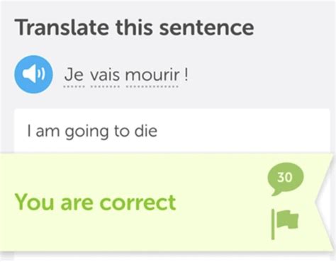 Duolingo Memes That Are Both Funny and Relatable