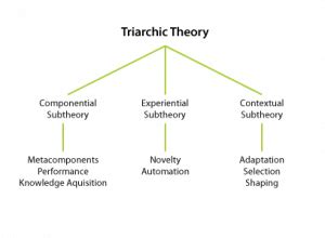 Triarchic Theory (Robert Sternberg) - InstructionalDesign.org