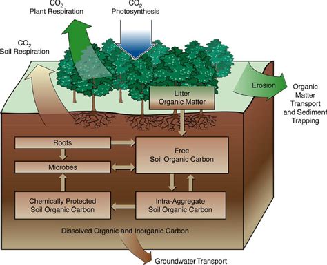 FORESTRY - LEARNING: SOIL CONSERVATION