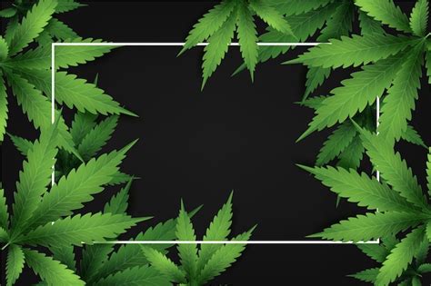 Free Vector | Realistic cannabis leaf background