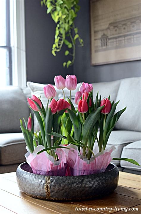 Beautiful Tulip Arrangements from Store Flowers - Town & Country Living