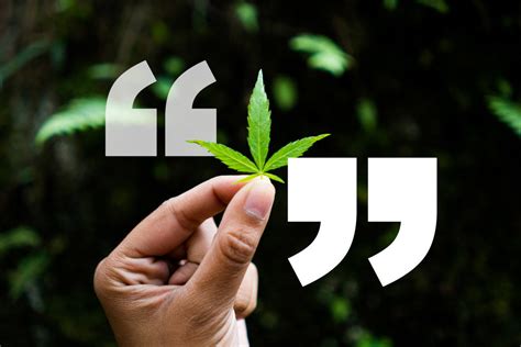 FAMOUS CANNABIS QUOTES